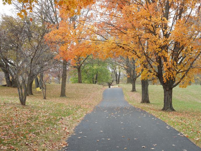 Paved trail best sale near me